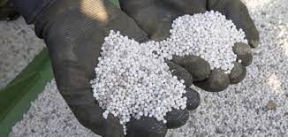 Rupture de stocks d’intrants agricoles : L’IER au banc des accusables